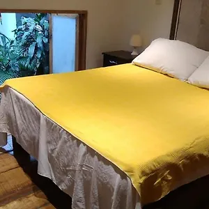 Apartamento Parrot House San Antonio